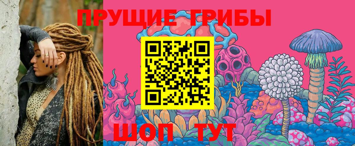 Галлюциногенные грибы мухоморы  Вход с VPN  наркота  Гатчина 